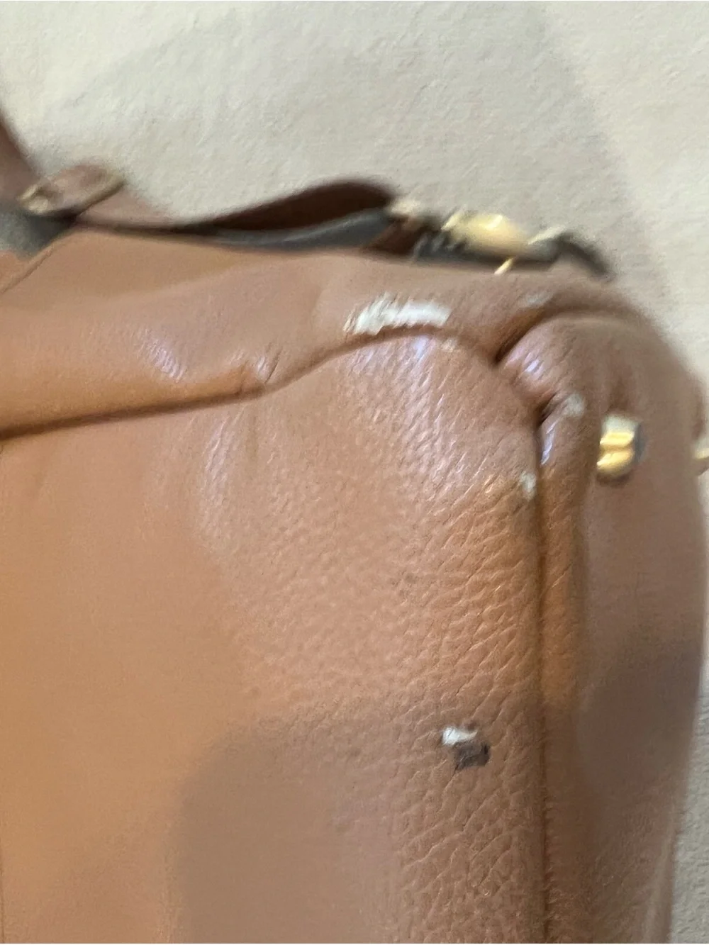 Freshly Picked Diaper Bag Backpack